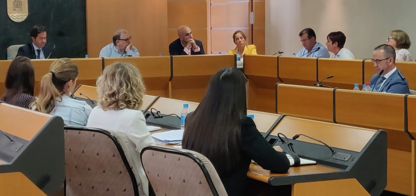 El PSOE de El Ejido logra el apoyo de todos los grupos del Pleno a excepción de VOX con una moción que garantiza la protección de las víctimas de la violencia machista en el municipio