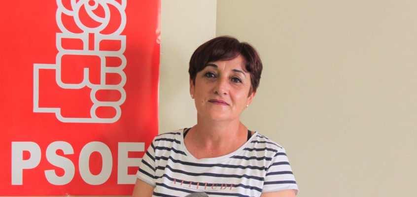 El  Grupo Municipal Socialista aplaude que el Consejo Municipal de Comercio acepte estudiar su propuesta colaborativa para incentivar las compras en el tejido empresarial local
