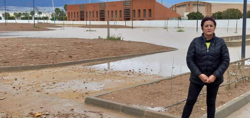 El PSOE de El Ejido denuncia en el Pleno “la falta de previsión y soluciones del Gobierno local” ante las inundaciones por las últimas lluvias en el Parque y el CEIP Mirasierra de Las Norias
