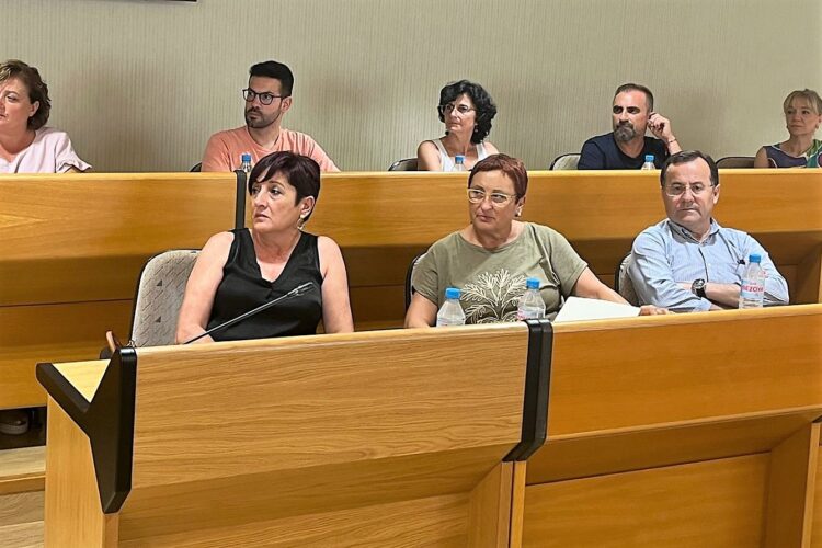 Concejales del PSOE en el Consejo Municipal de Discapacidad