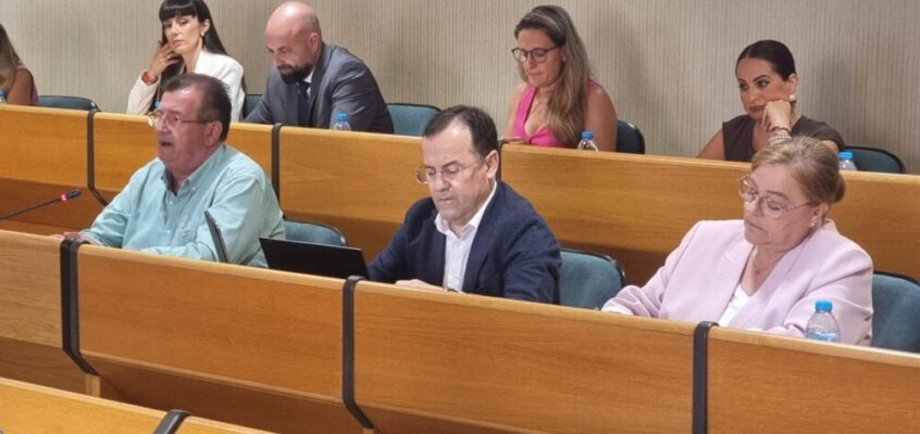 El PSOE de El Ejido reclama información sobre la prevención del virus del Nilo