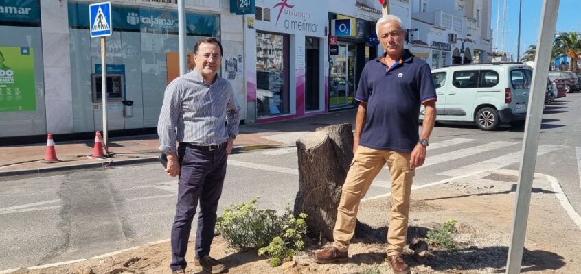 El PSOE de El Ejido denuncia la destrucción de zonas verdes en Almerimar