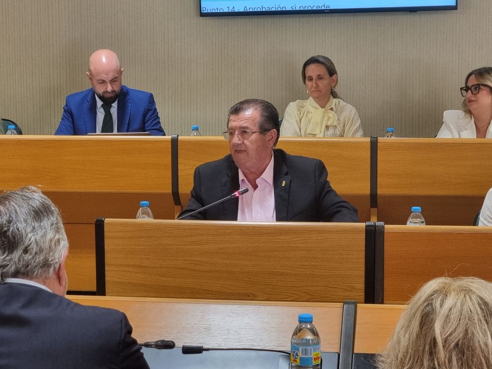 El Grupo Socialista en El Ejido acusa al PP de no hacer nada para facilitar el acceso a la vivienda: “Sólo están centrados en sus líos con Vox”